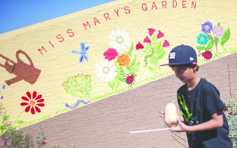 Ahwatukee Community Garden Project